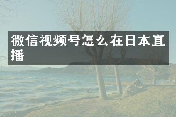 微信视频号怎么在日本直播
