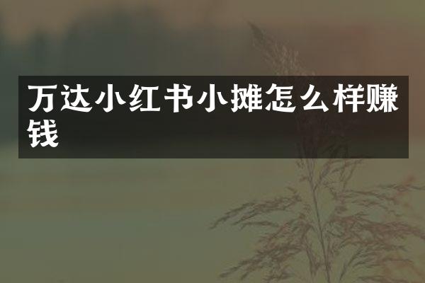 万达小红书小摊怎么样赚钱