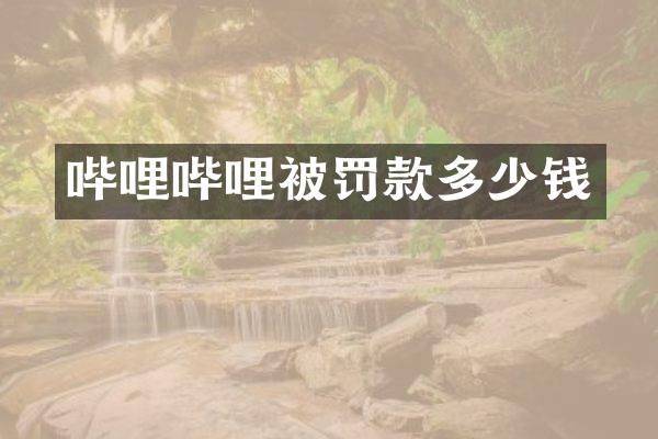 哔哩哔哩被罚款多少钱