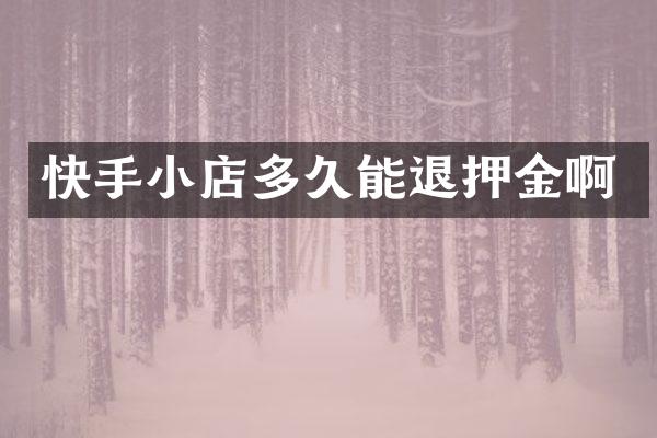 快手小店多久能退押金啊