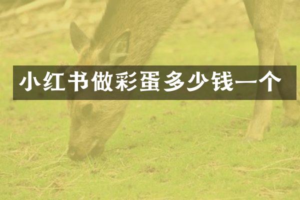 小红书做彩蛋多少钱一个