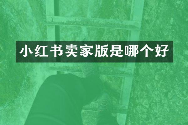 小红书卖家版是哪个好