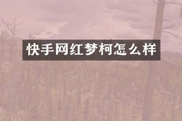 快手网红梦柯怎么样