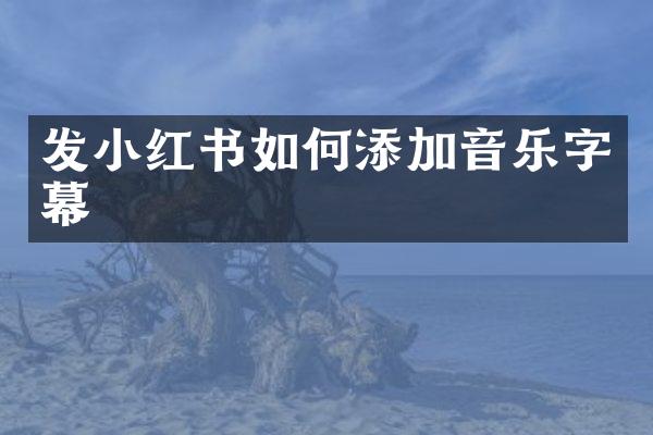 发小红书如何添加音乐字幕