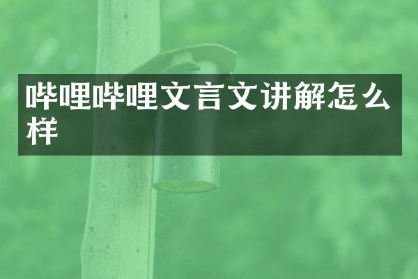 哔哩哔哩文言文讲解怎么样