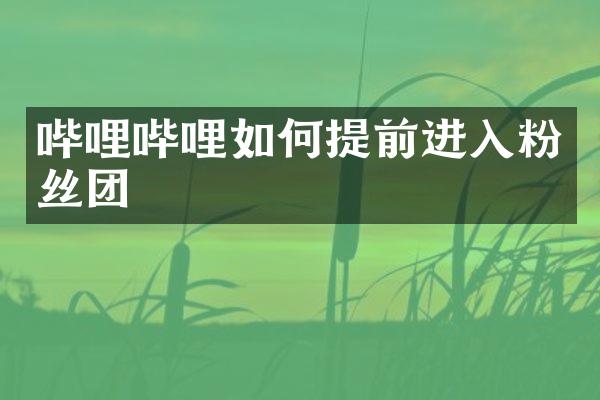 哔哩哔哩如何提前进入粉丝团
