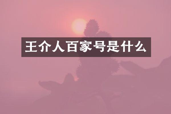 王介人百家号是什么