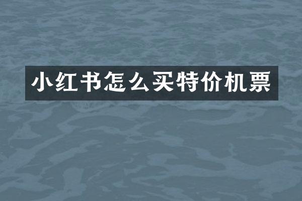 小红书怎么买特价机票