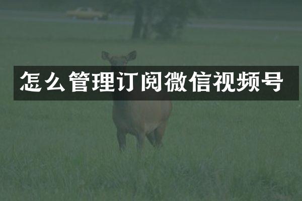 怎么管理订阅微信视频号
