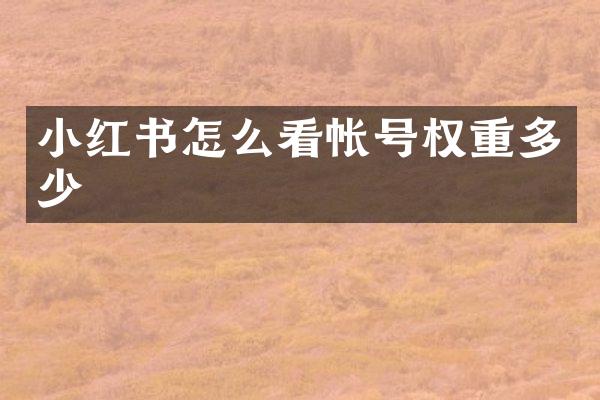 小红书怎么看帐号权重多少