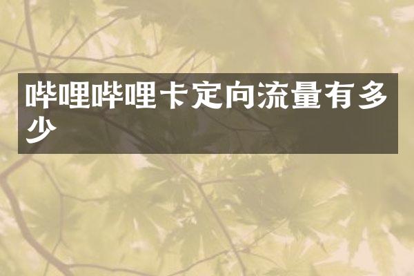 哔哩哔哩卡定向流量有多少