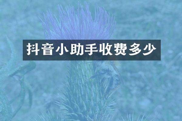抖音小助手收费多少