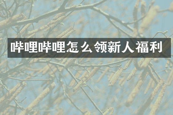 哔哩哔哩怎么领新人福利