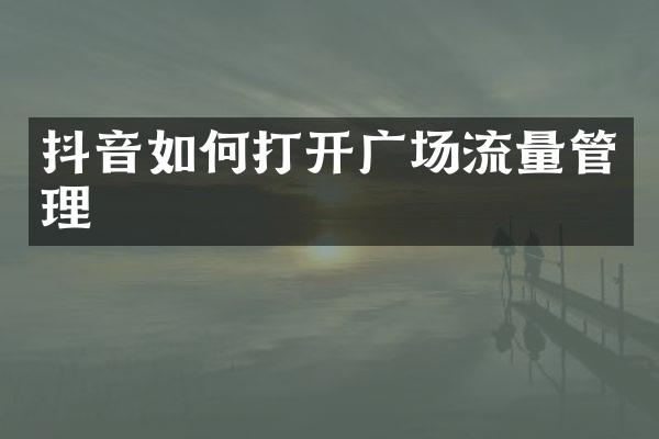 抖音如何打开广场流量管理