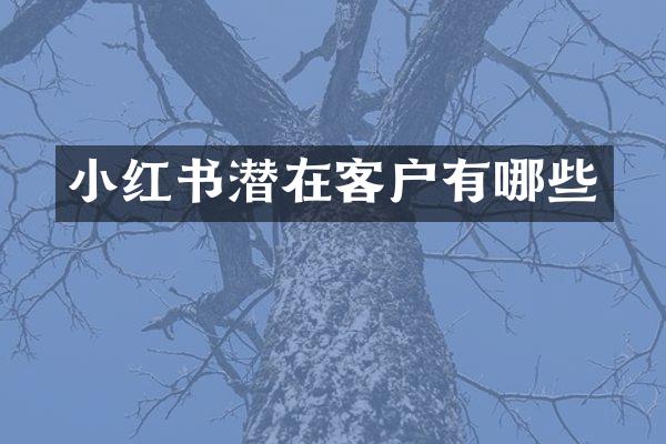 小红书潜在客户有哪些