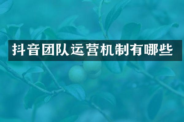 抖音团队运营机制有哪些