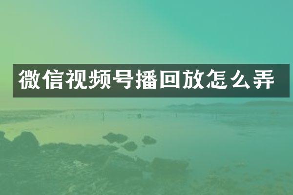 微信视频号播回放怎么弄