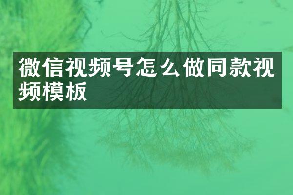 微信视频号怎么做同款视频模板