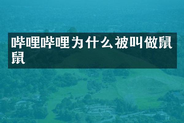 哔哩哔哩为什么被叫做鼠鼠