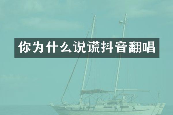 你为什么说谎抖音翻唱