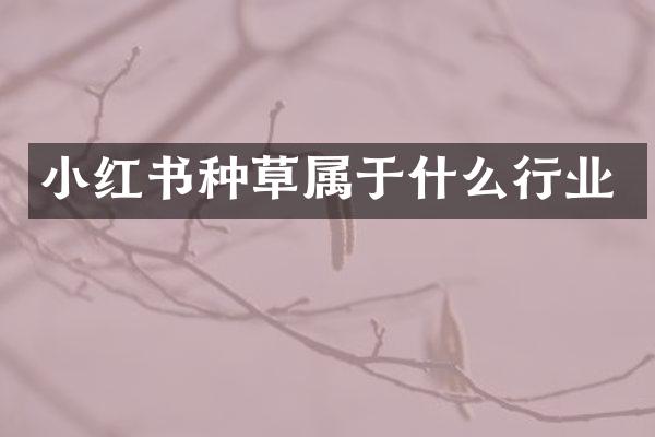 小红书种草属于什么行业