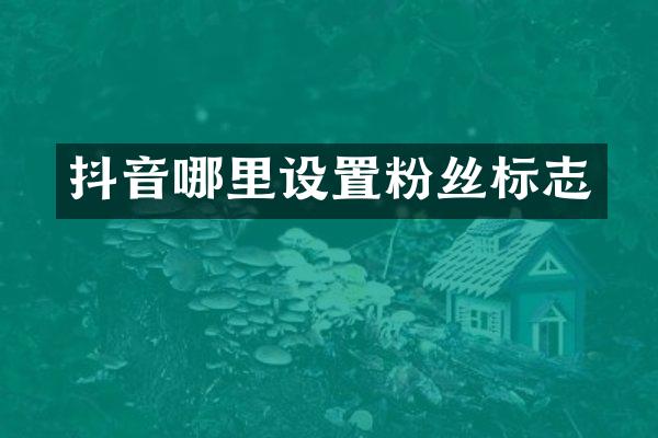 抖音哪里设置粉丝标志