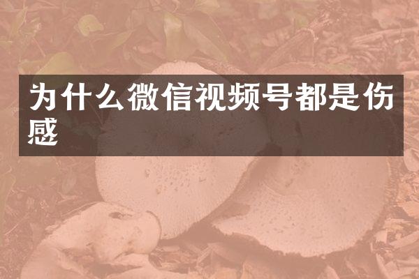 为什么微信视频号都是伤感