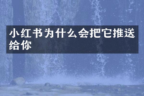 小红书为什么会把它推送给你