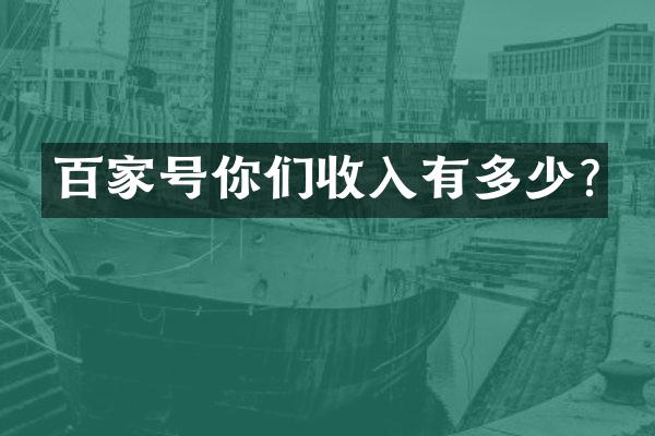 百家号你们收入有多少?