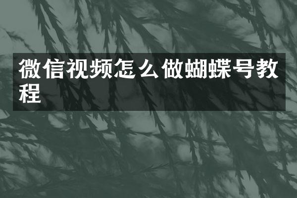 微信视频怎么做蝴蝶号教程
