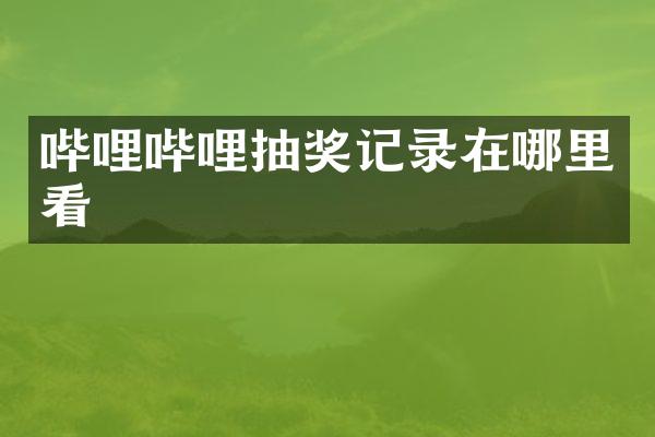 哔哩哔哩抽奖记录在哪里看