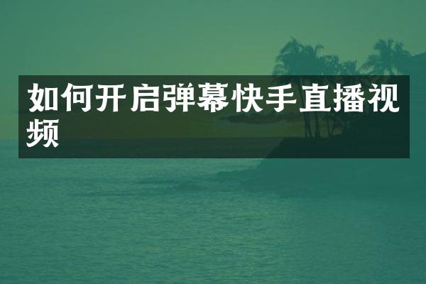 如何开启弹幕快手直播视频