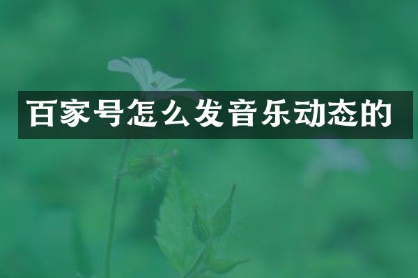 百家号怎么发音乐动态的