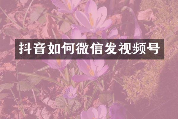 抖音如何微信发视频号