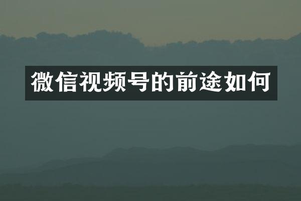 微信视频号的前途如何