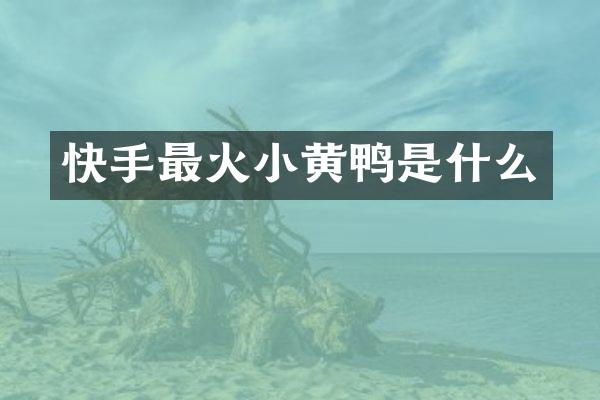 快手最火小黄鸭是什么