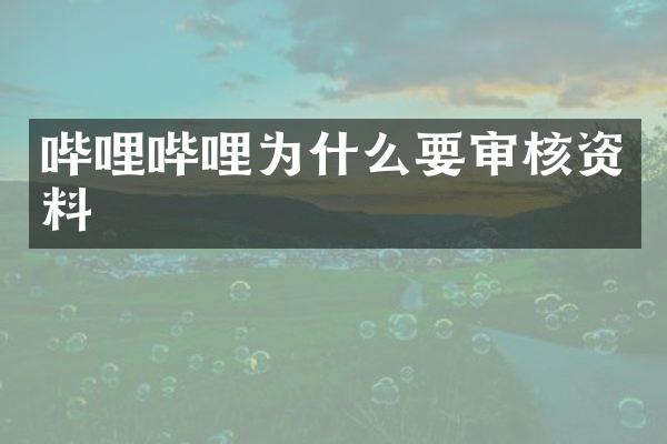 哔哩哔哩为什么要审核资料