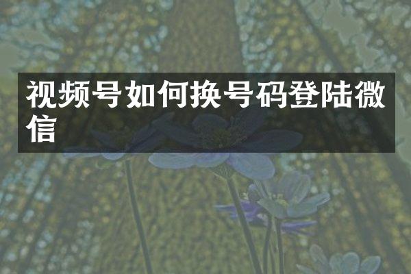 视频号如何换号码登陆微信