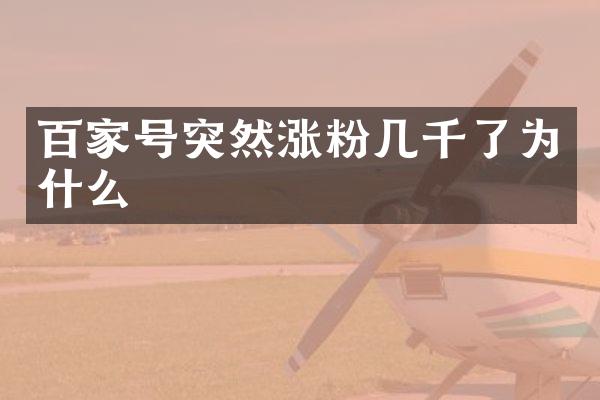 百家号突然涨粉几千了为什么