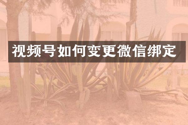 视频号如何变更微信绑定