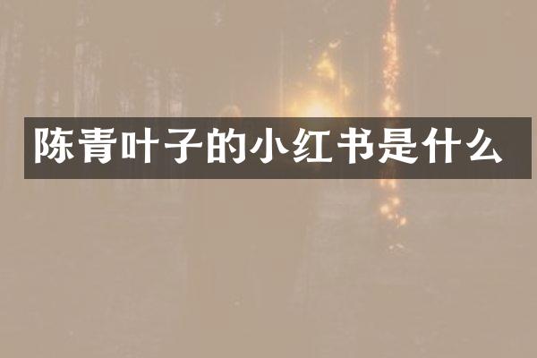 陈青叶子的小红书是什么