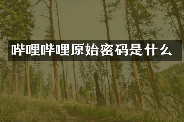哔哩哔哩原始密码是什么