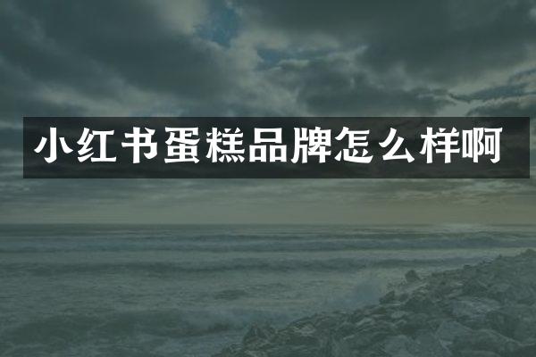 小红书蛋糕品牌怎么样啊