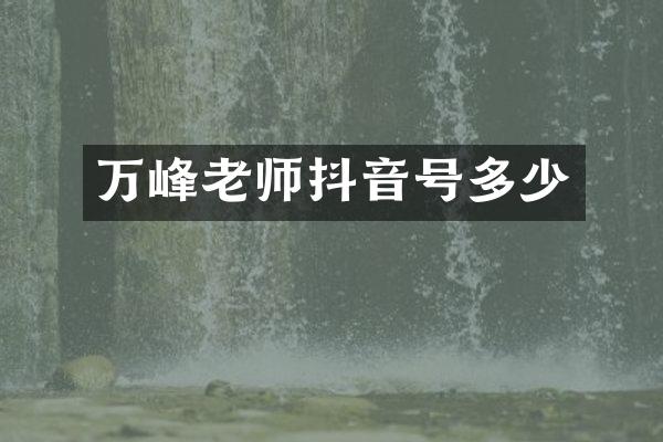 万峰老师抖音号多少