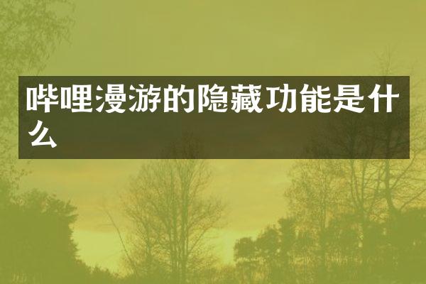 哔哩漫游的隐藏功能是什么