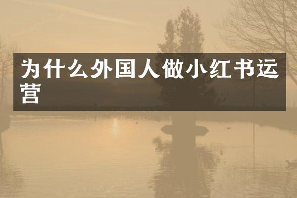 为什么外国人做小红书运营