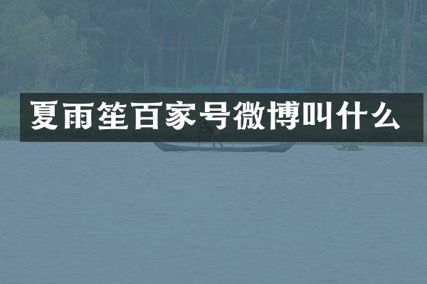 夏雨笙百家号微博叫什么