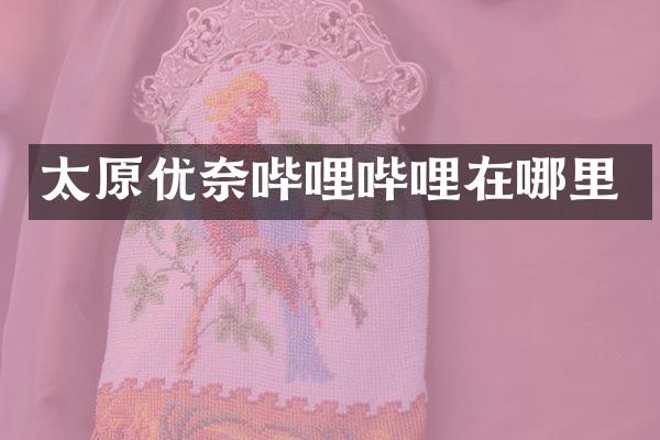 太原优奈哔哩哔哩在哪里