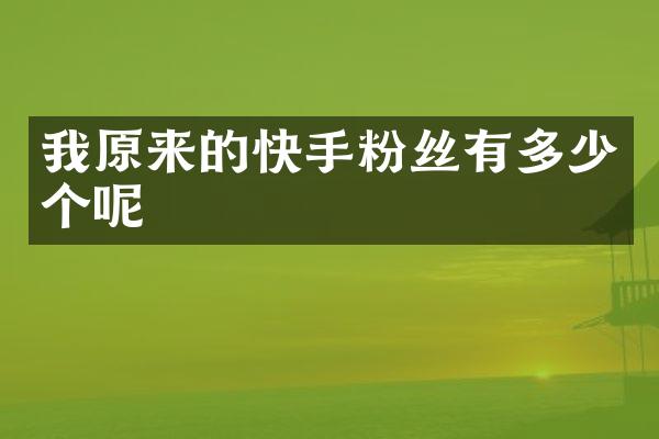 我原来的快手粉丝有多少个呢