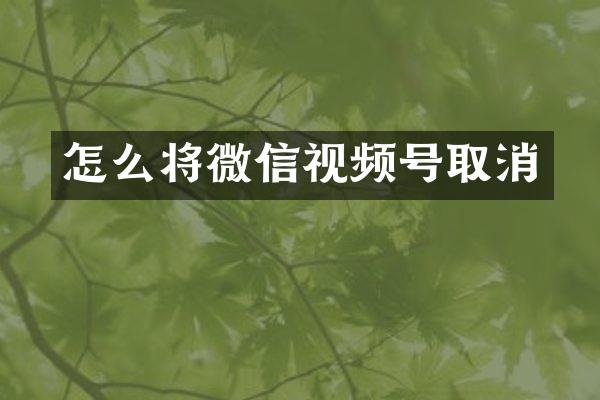 怎么将微信视频号取消